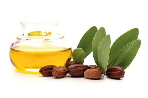 Jojoba